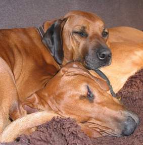 Flair und Missie of Ginba�s Hero