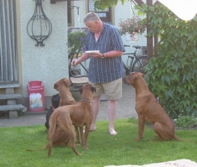 Herrchen verteilt Zahnputz-Knochen