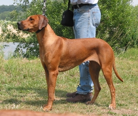 Missie of Ginba�s Hero