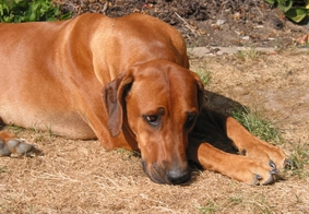 Alleinsein ist langweilig!