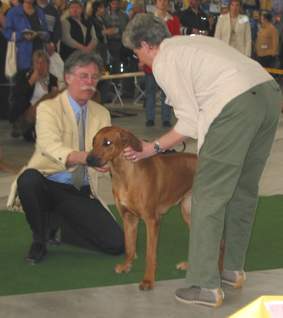 Missie of Ginba�s Hero