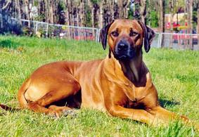 Flair, gelassen wie immer