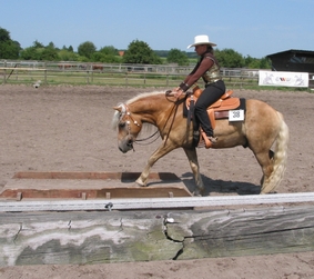 Kenzo gewinnt Platz 5 beim Trail