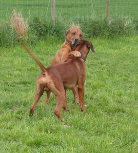 Die beiden mochten sich sofort