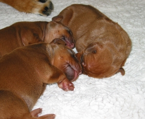 Und anschlie�end ruhen wir gemeinsam aus.