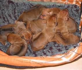 ... sind wir unzertrennlich.