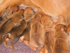 Und beim Trinken sind wir uns erst recht einig.