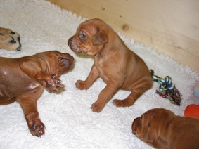 Wir k�nnen schon ganz sch�n loslegen