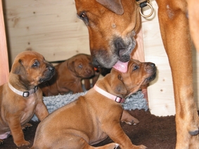 Immer der Reihe nach