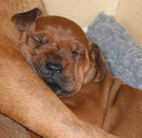 Och, bin ich m�de.