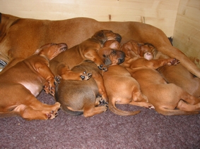 Das haben wir uns verdient