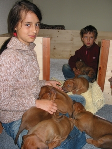 Jeder hat ein Pl�tzchen gefunden