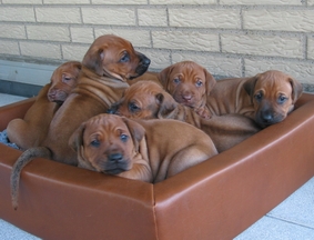 Platz ist in der kleinsten H�tte