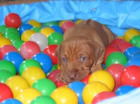 Smilla�s Lieblingsplatz