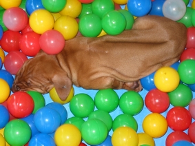 Ob das wohl bequem ist?