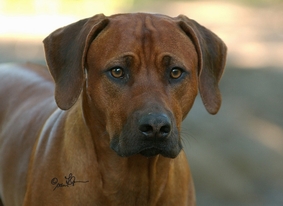 Foto: Karin van Klaveren