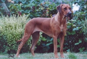 Foto: Karin van Klaveren