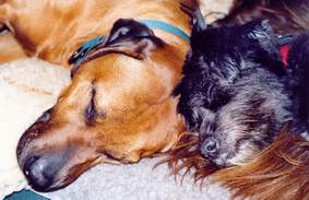 manchmal ist sie auch sehr anlehnungsbed�rftig